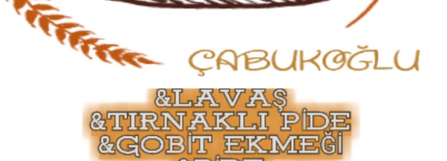 ÇABUKOĞLU LAVAS Cover Image